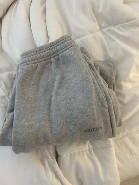 Aritzia Kids Light Gray Sweat Joggers